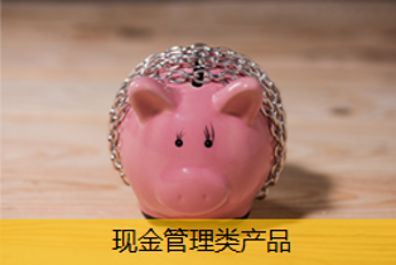 现金管理类产品